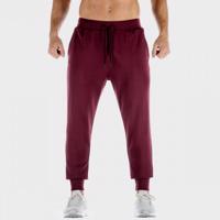 SQUATWOLF Tepláky Lab 360 Joggers Tawny Port  S