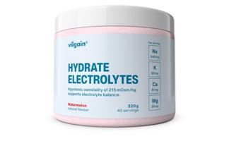Vilgain Elektrolyty – melón 320 g